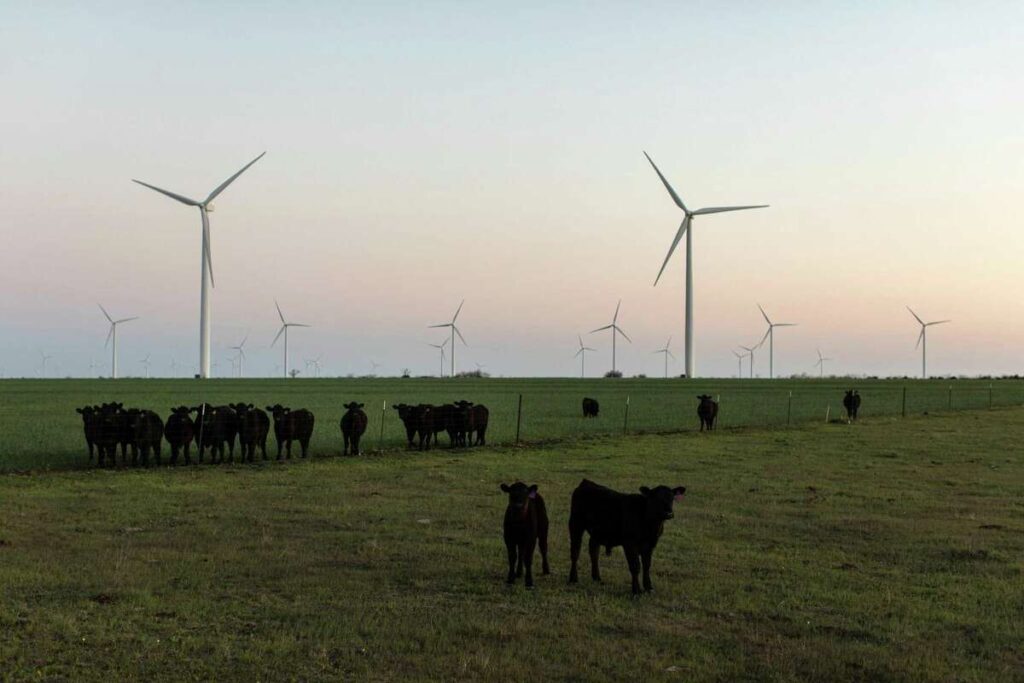 The Texas GOP’s War on Renewable Energy