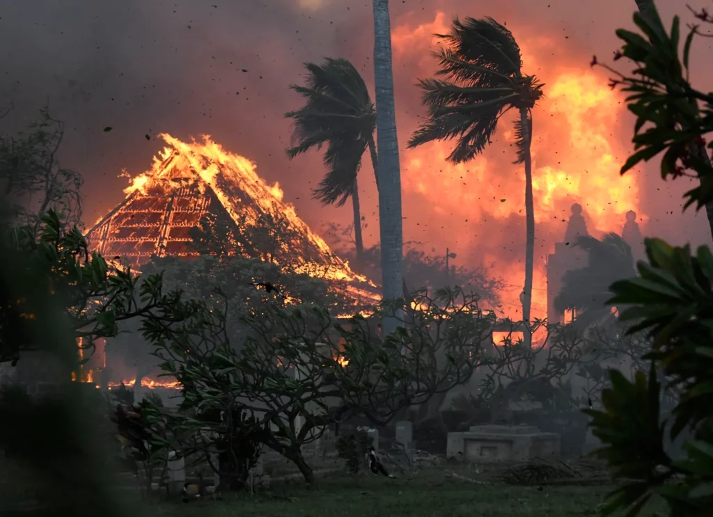 Green activists have hurt the environment by letting Hawaii and California burn