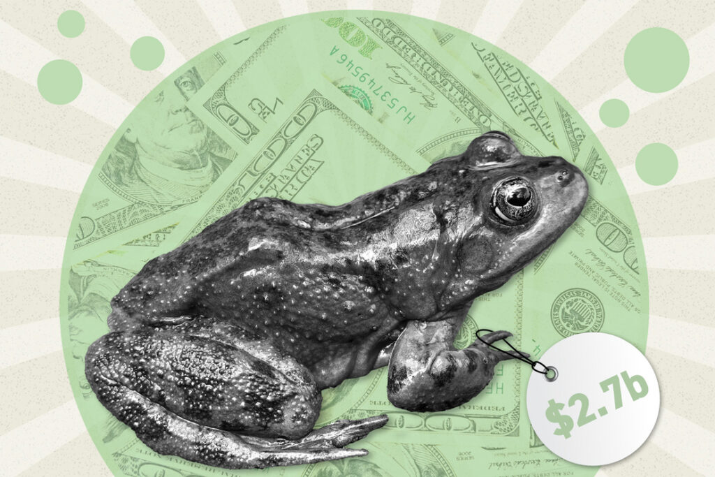 Meet the $2.7 billion Oregon spotted frog
