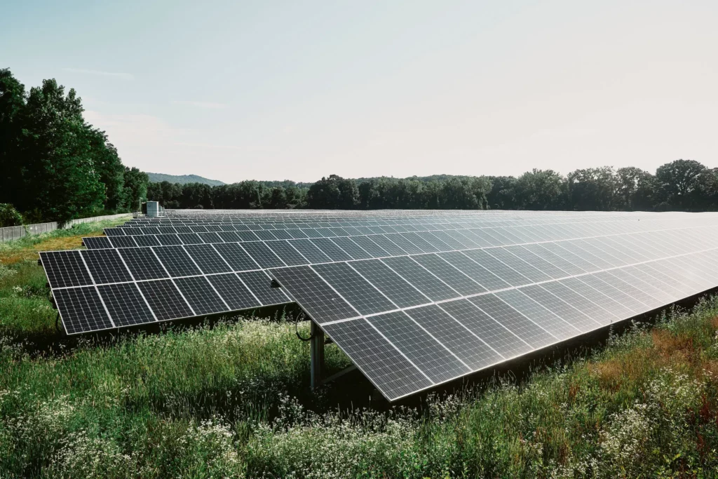 Energy firms, green groups and others reach deal on solar farms