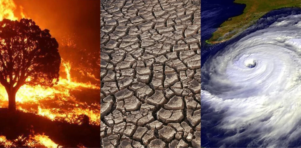 Climate expert ‘sacked’ after refusing flight to Germany over carbon emissions