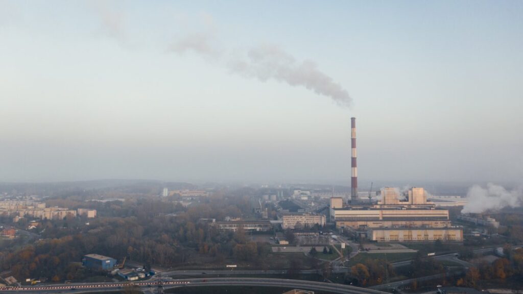 We Can’t Let Fossil Fuels Die Because They Keep Us Alive