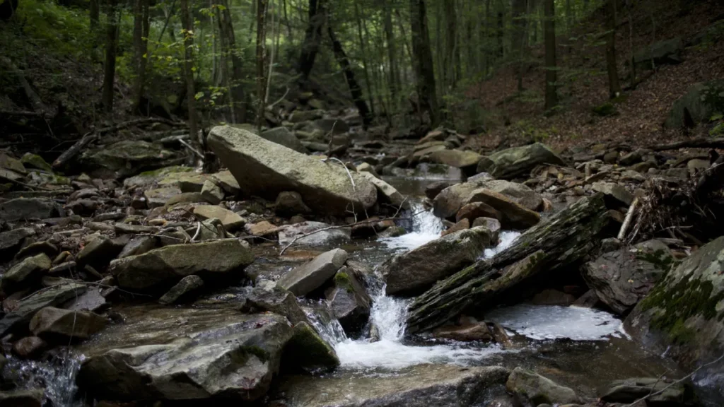 Researchers make massive lithium discovery in Pennsylvania