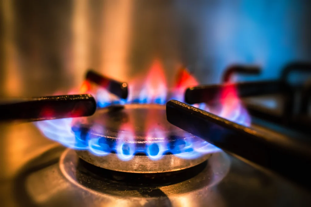 Gas stoves head for the ballot in Washington state