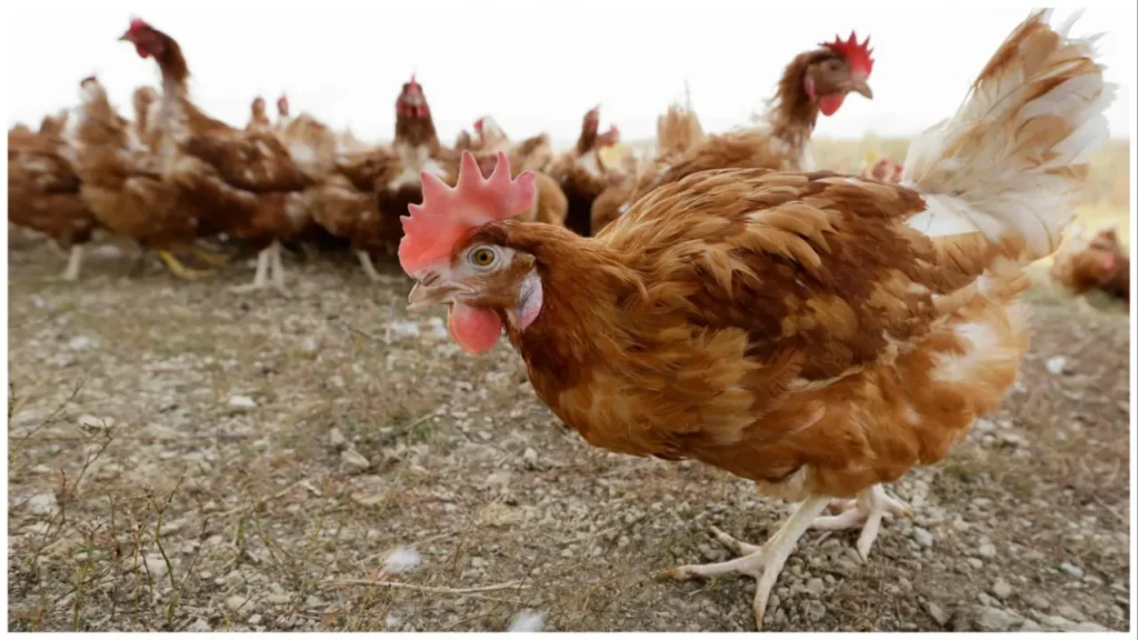 Anti-ESG group launches campaign around farm bill