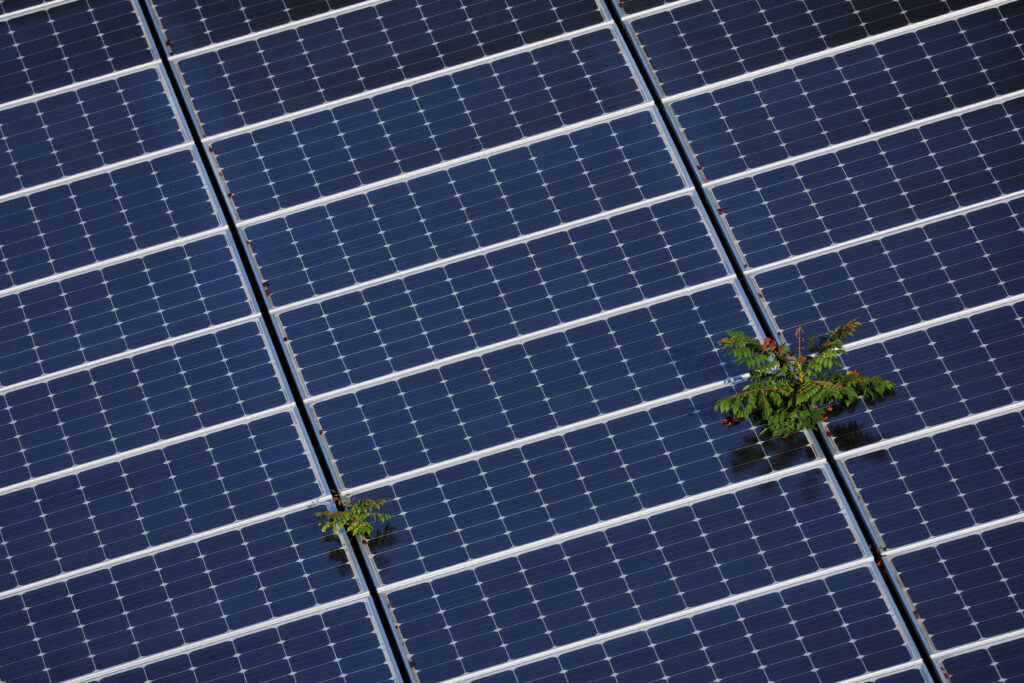 Chinese solar firms go where US tariffs don’t reach