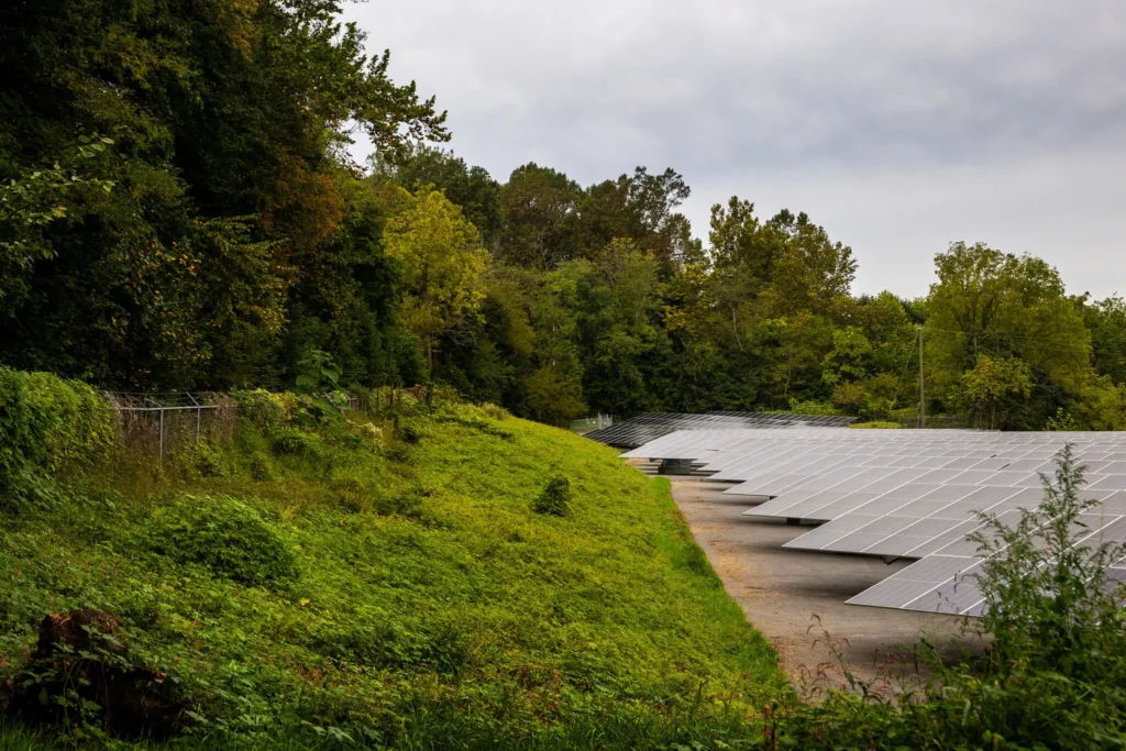 Renewable Energy Is Booming Despite Trump’s Efforts to Slow It