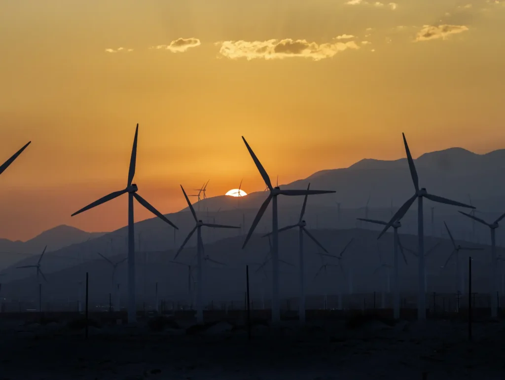 Solar and wind power has grown faster than electricity demand this year, report says