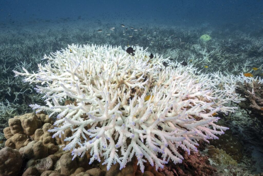 End of the world as we know it: Damning new report says Earth has reached its first climate ‘tipping point’