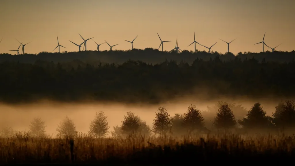 IEA cuts estimate of U.S. renewables capacity growth by about 50%