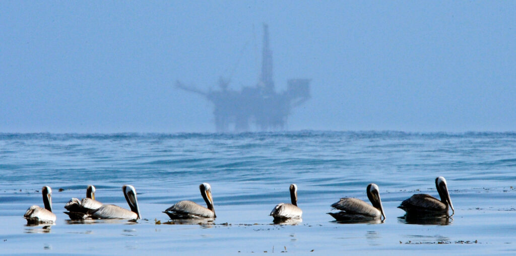 Crudely Put: Oil Is Everywhere