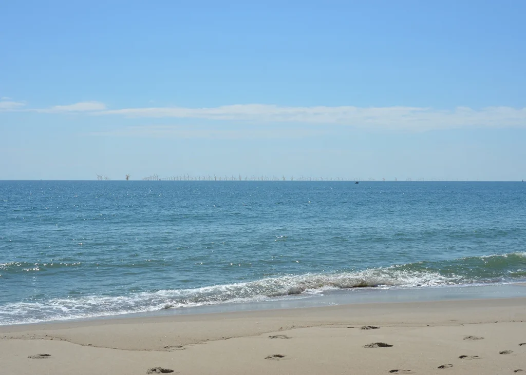 Carolina Long Bay wind energy firm takes Trump buyout, investing in LNG, fossil fuels