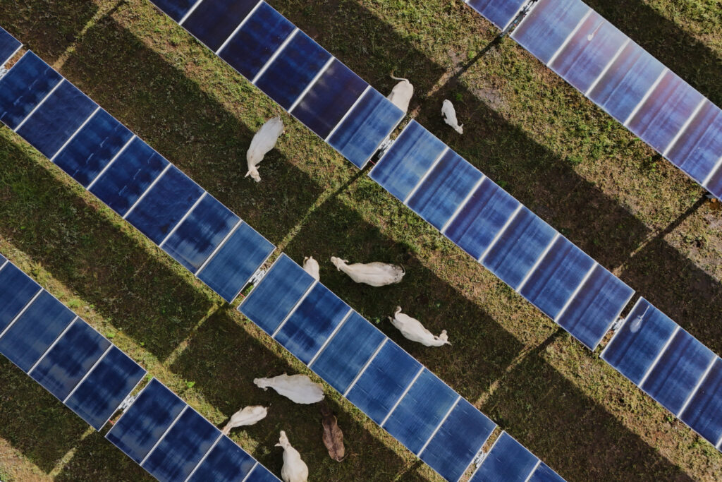 Community Solar “Discounts” Could Raise Electric Bills